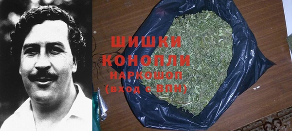 стафф Дубовка