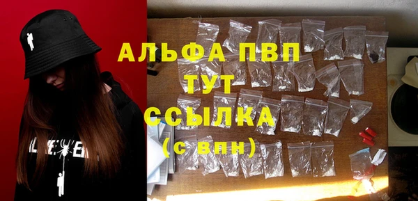 стаф Баксан